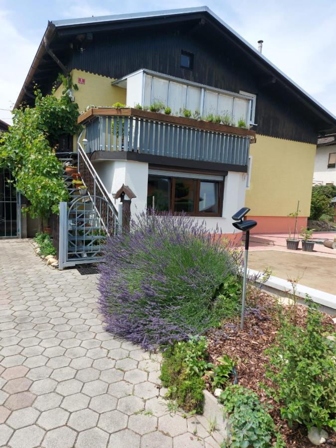 Apartma Reich Apartment Ptuj Exterior photo